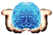 Laying the foundation for development of brain knowledge of students