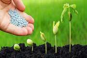 Export of bio-fertilizers produced in the country