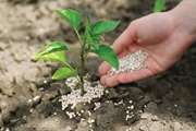 Call: Fertilizer-producing Knowledge-based Companies Will Be Invited 