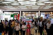 The Festival of Medical Plants, Natural Products, and Iranian Medicine Will Be Opened Tomorrow