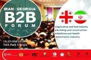 The second B2B forum of knowledge-based companies will be held in Georgia