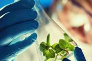 Increased Share of Biotechnology in Gross Domestic Product Is Essential.