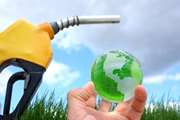 Use of bio-fuel is the solution for survival of national resources of the country