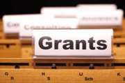 Provision of postdoctoral grants in cooperation with one of the organizations of the world academy of sciences