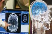 Brain-mapping counselors of Iran will gather 