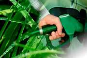 Use of biofuels in the country is a beneficial solution for elimination of air pollutants