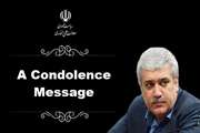 The vice president for science and technology affairs expressed his condolences for the Ukrainian jet crash