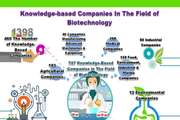 Infographic: The Current Status of the Biotechnology Ecosystem in Iran