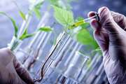 Bank of Standards of Biotechnology Equipment Will Be Prepared