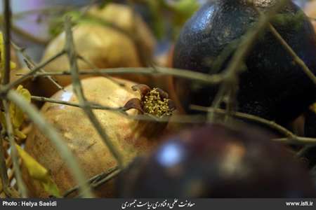 چهارمین جشنواره و نمایشگاه ملی گیاهان دارویی، فرآورده های طبیعی و طب سنتی  