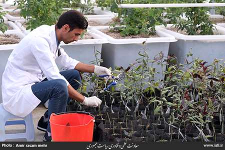 سفر استانی معاون علمی و فناوری رییس جمهوری به ارومیه (2) 